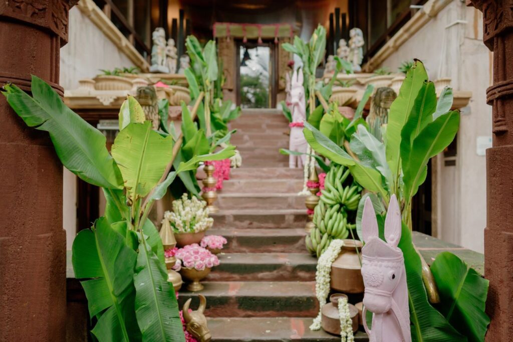 IMG 5308.jpg 1024x682